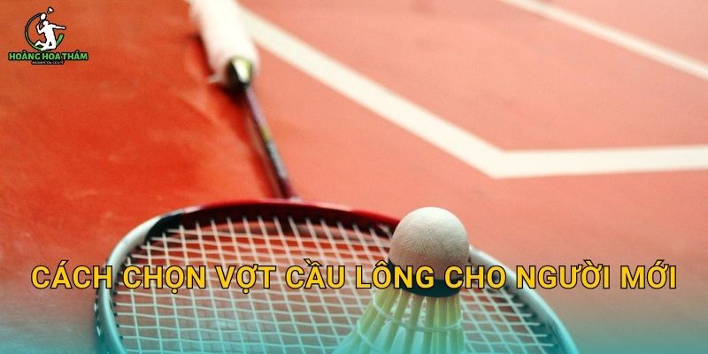 Cách chọn vợt cầu lông cho người mới – Dễ đánh, ít chấn thương, lên trình nhanh