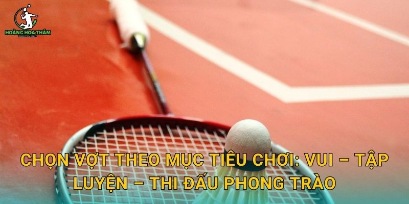 Chọn vợt theo mục tiêu chơi: vui – tập luyện – thi đấu phong trào
