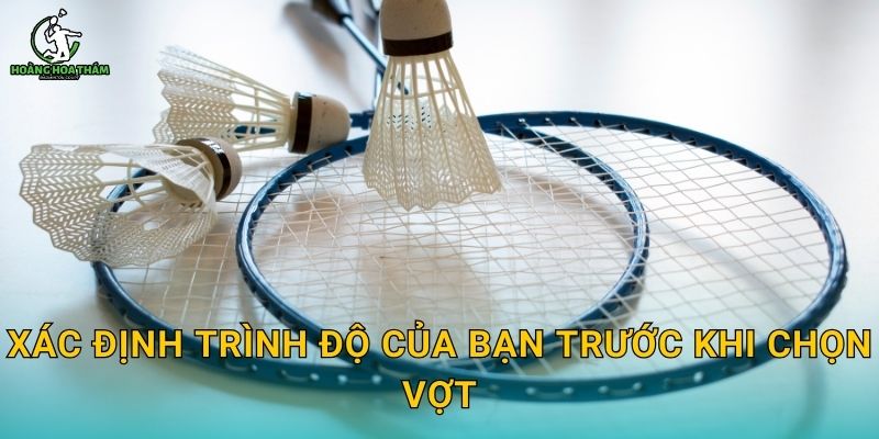 Xác định trình độ của bạn trước khi chọn vợt