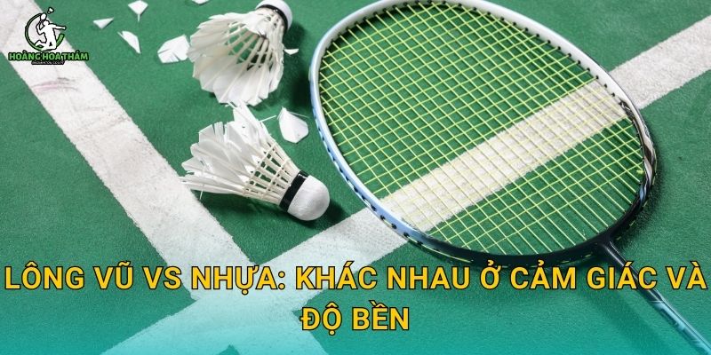 Lông vũ vs nhựa: khác nhau ở cảm giác và độ bền