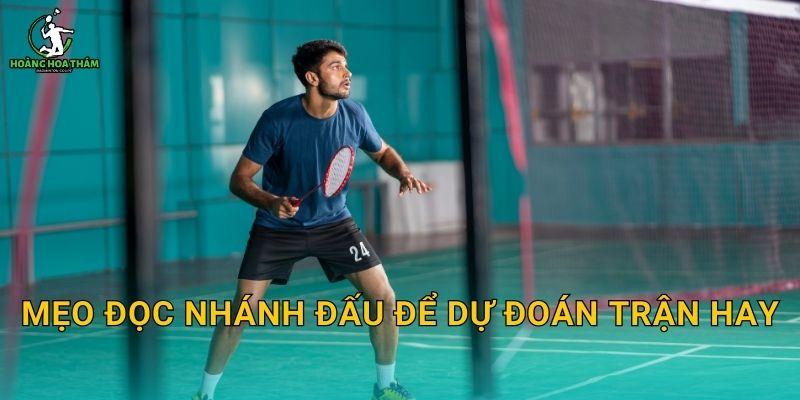 Mẹo đọc nhánh đấu để dự đoán trận hay