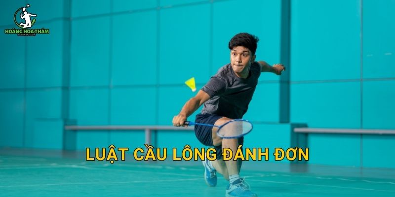Luật cầu lông đánh đơn – Giao đúng ô, đổi sân đúng thời điểm, chơi đúng luật