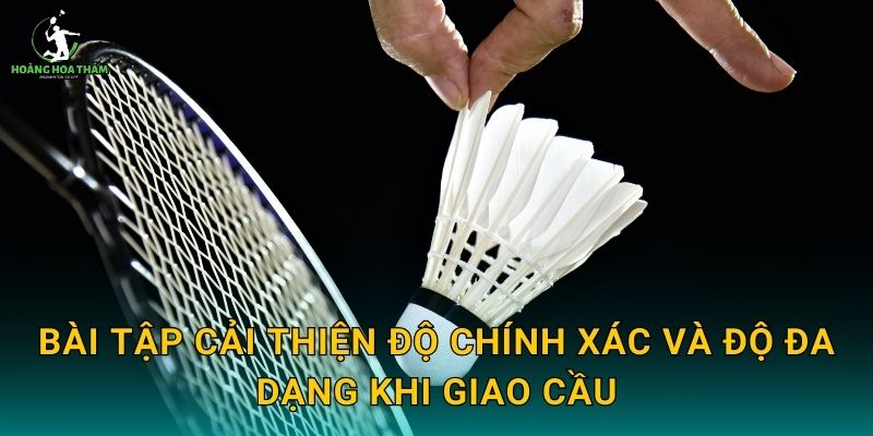 Bài tập cải thiện độ chính xác và độ đa dạng khi giao cầu